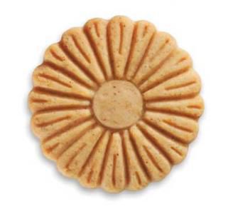 daisygo.jpg